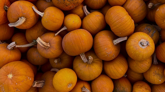 From Patch to Pores: The Skin Benefits of Pumpkin